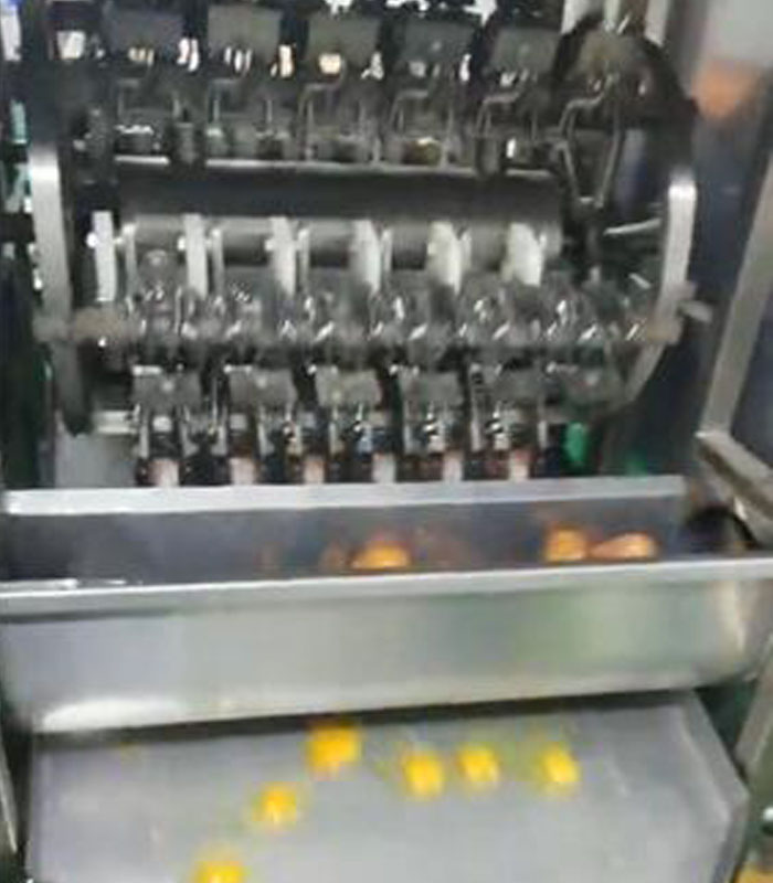 蛋品加工设备